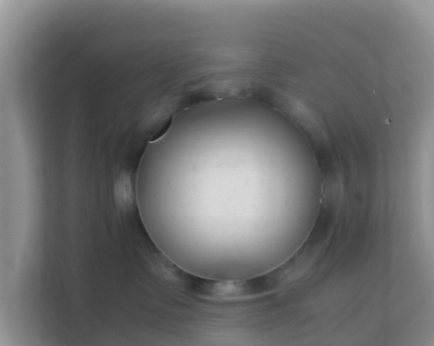 X0000111650335200907241136