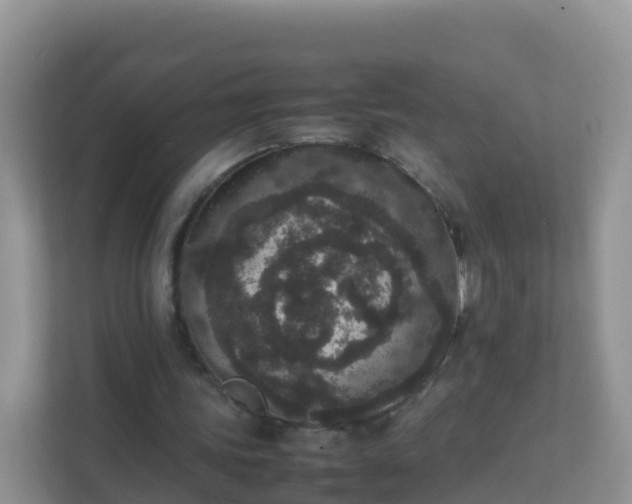 X0000111650339200907241136