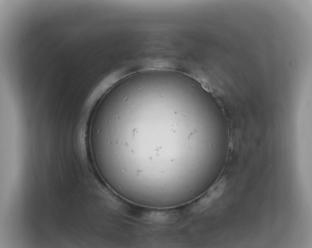 X0000111650341200907241136