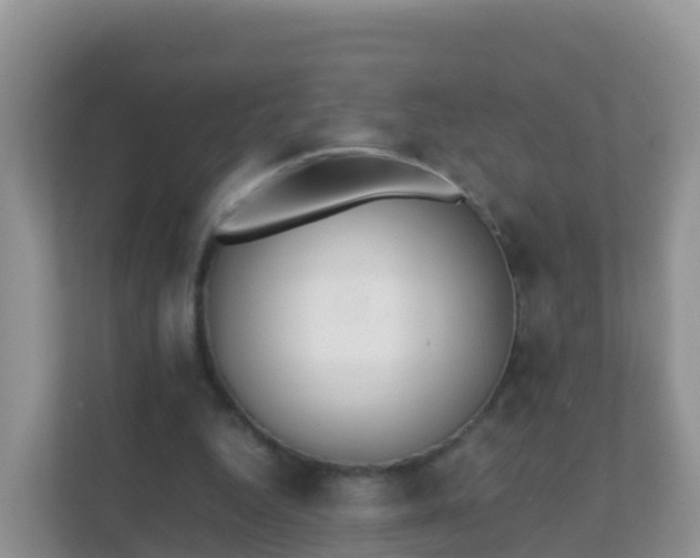 X0000111650344200907241136