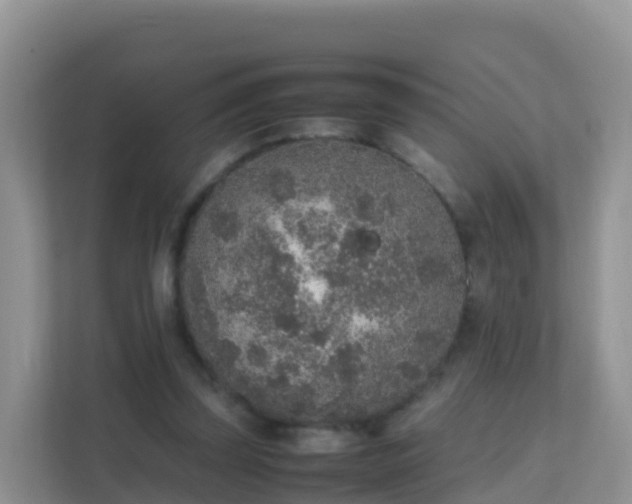 X0000111650347200907241136
