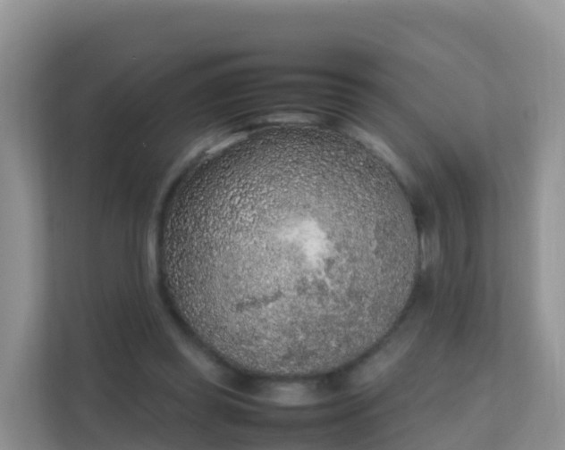 X0000111650349200907241136