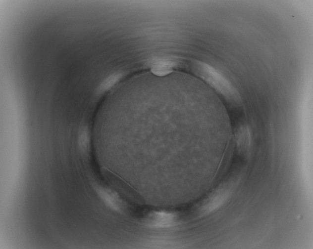 X0000111650352200907241136