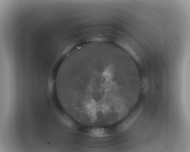 X0000111650355200907241136
