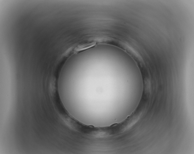 X0000111650356200907241136