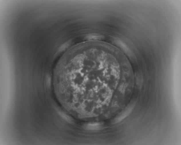 X0000111650357200907241136