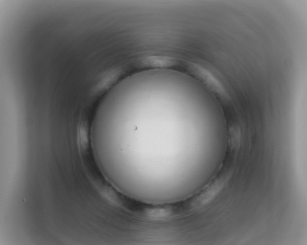 X0000111650358200907241136