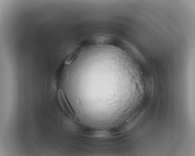 X0000111650363200907241136