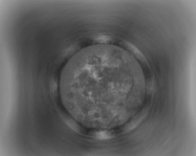 X0000111650365200907241136