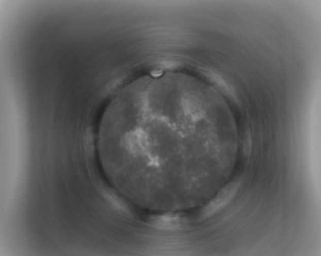 X0000111650366200907241136