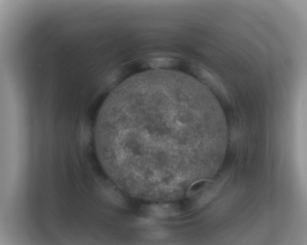 X0000111650367200907241136
