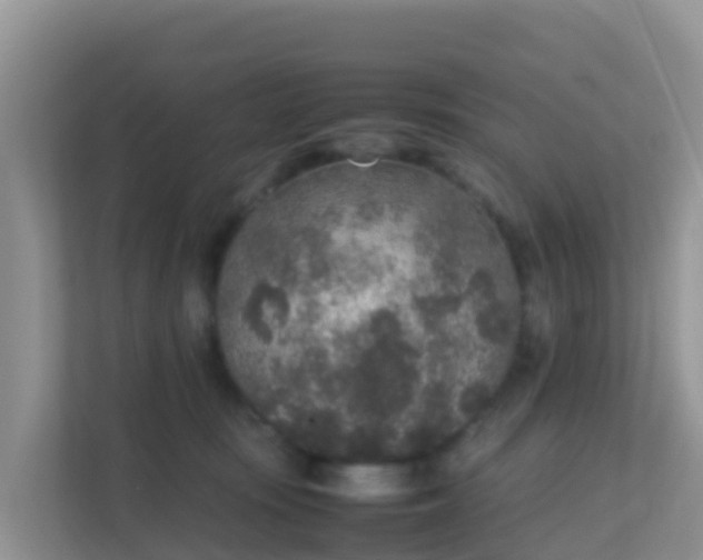 X0000111650371200907241136