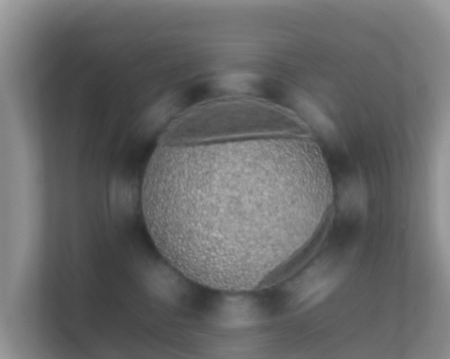 X0000111650376200907241136