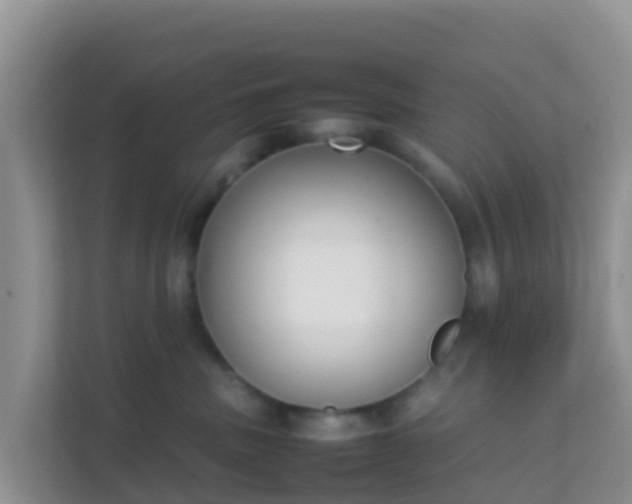 X0000111650379200907241136