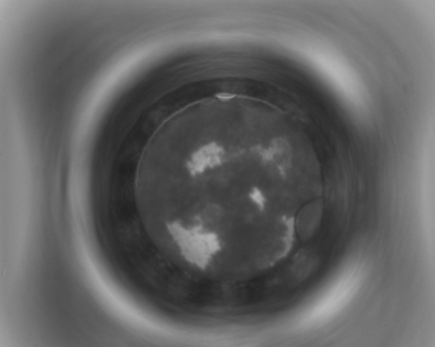 X0000111650383200907241136