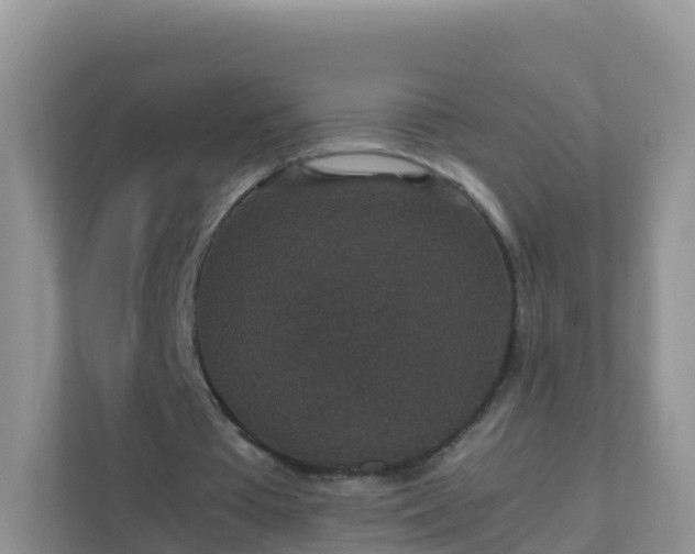X0000111650385200907241136
