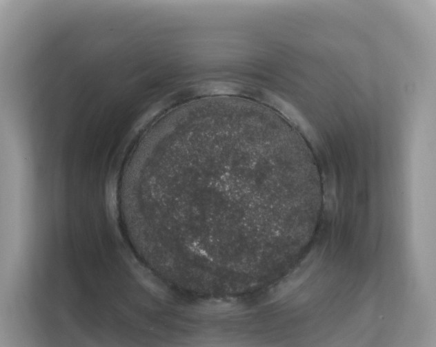 X0000111650386200907241136