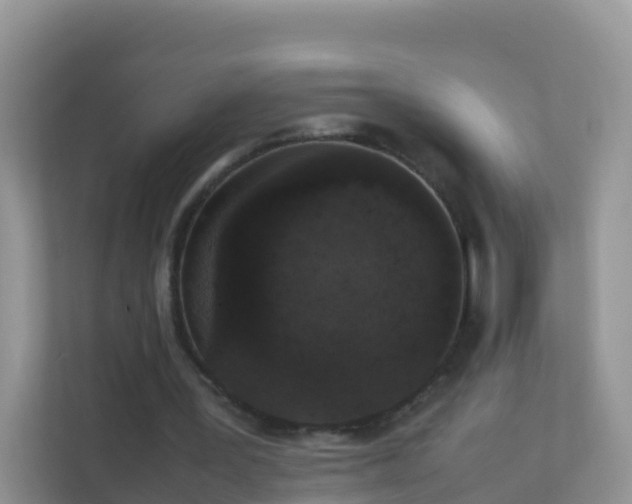 X0000111650387200907241136
