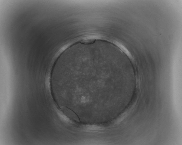 X0000111650389200907241136