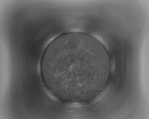 X0000111650390200907241136