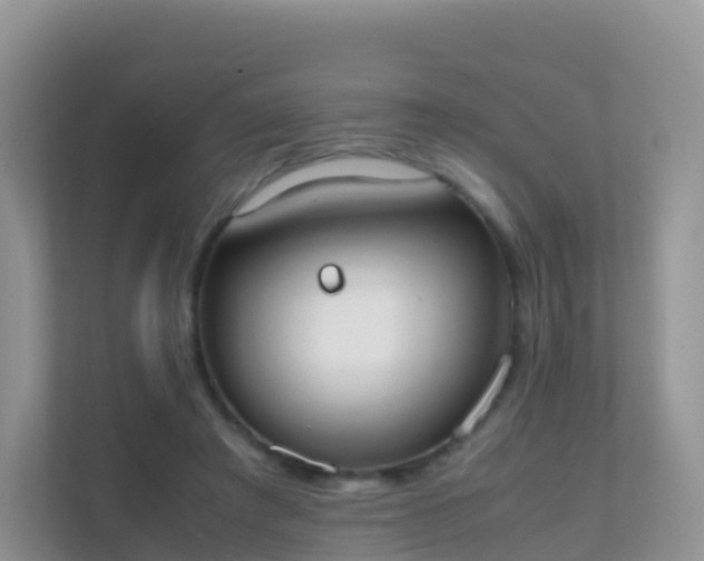 X0000111650401200907241135