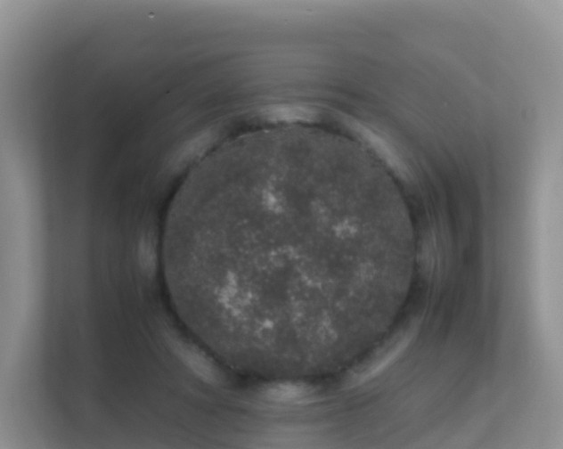 X0000111650402200907241135