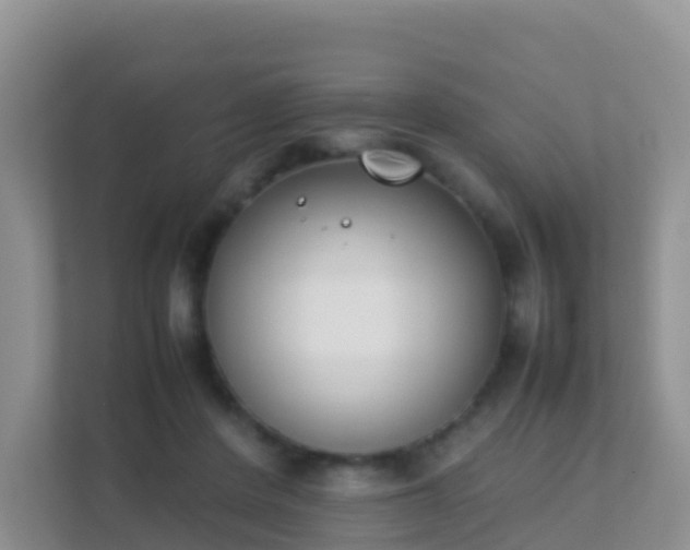 X0000111650408200907241135