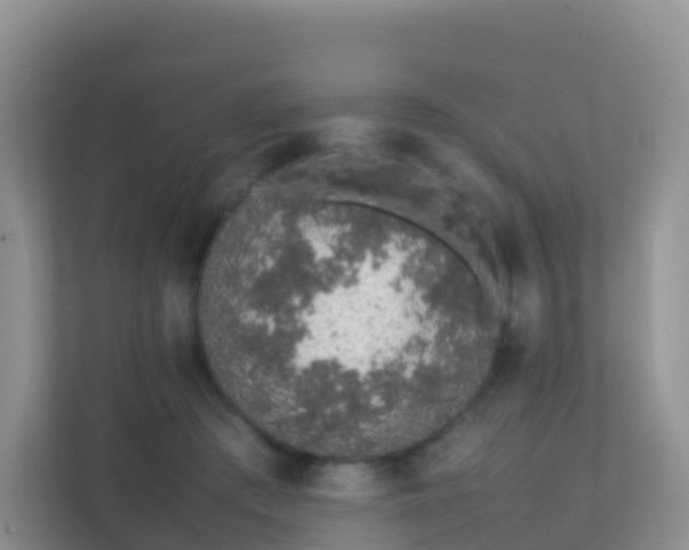 X0000111650409200907241135