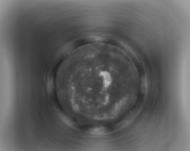 X0000111650410200907241135