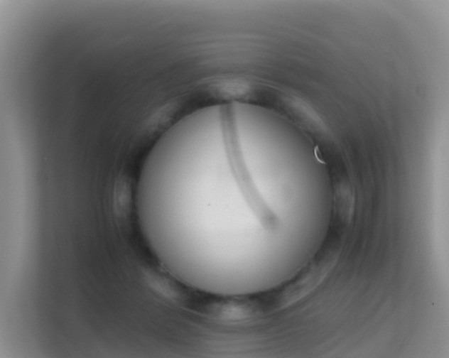 X0000111650412200907241135