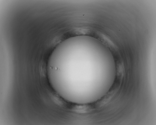 X0000111650414200907241135