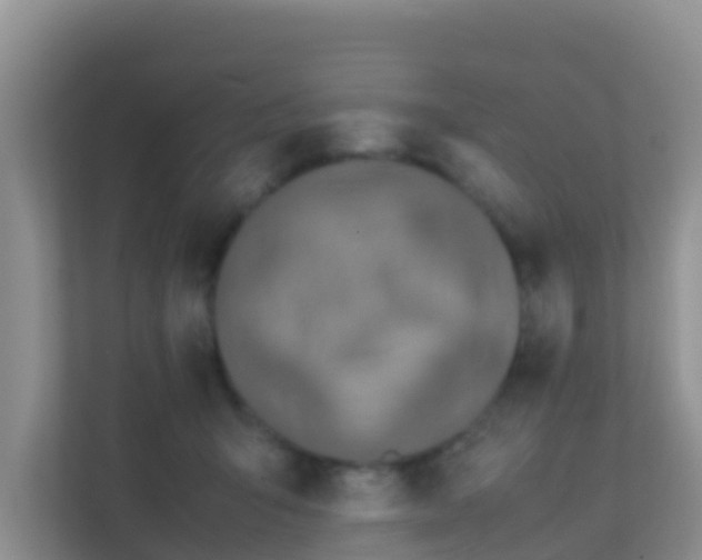 X0000111650415200907241135