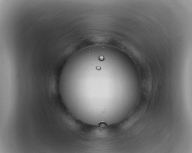 X0000111650416200907241135