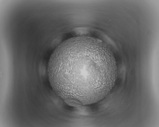 X0000111650417200907241135