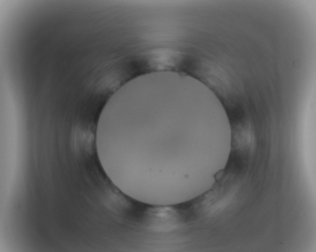 X0000111650427200907241135