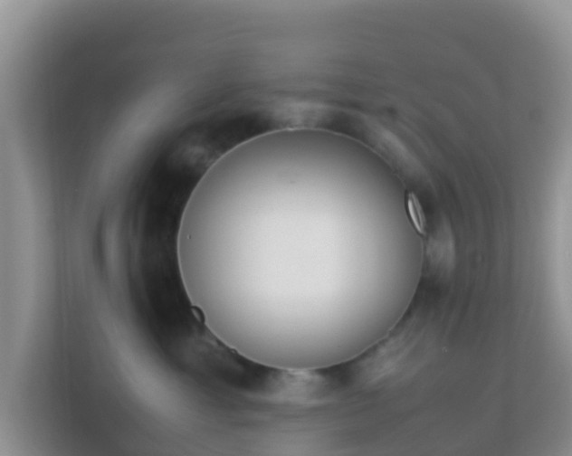 X0000111650429200907241135