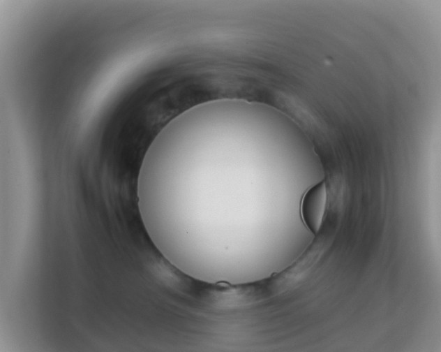 X0000111650430200907241135