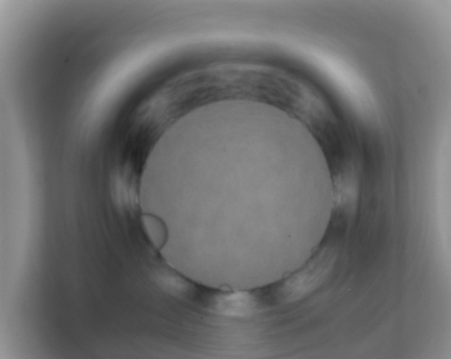 X0000111650431200907241135