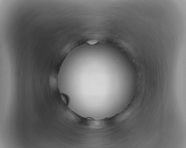 X0000111650432200907241135