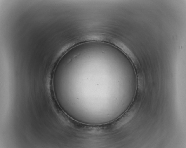 X0000111650434200907241134