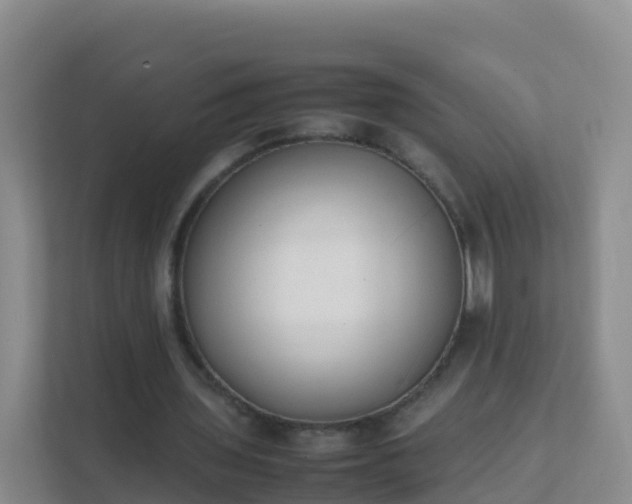 X0000111650435200907241134