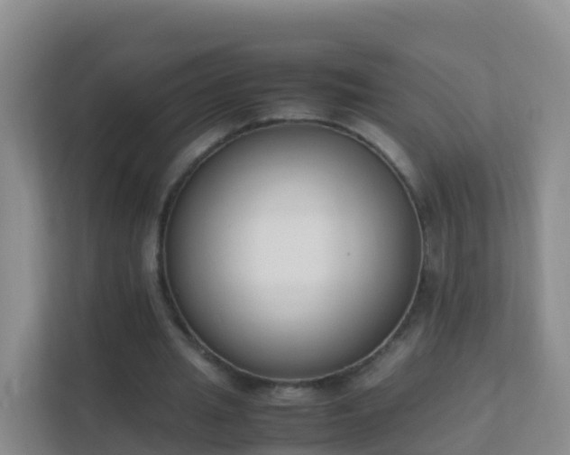 X0000111650437200907241134