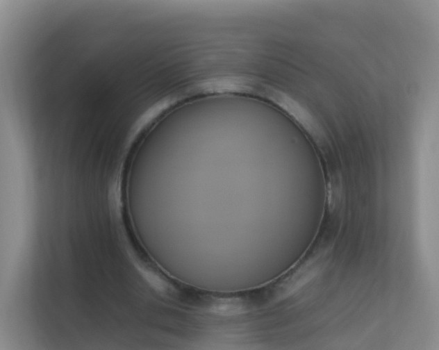 X0000111650438200907241134