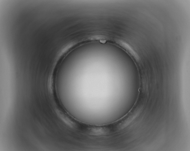 X0000111650439200907241135