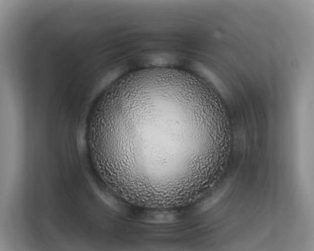 X0000111650443200907241135