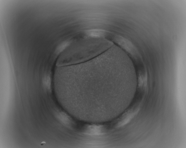 X0000111650444200907241135