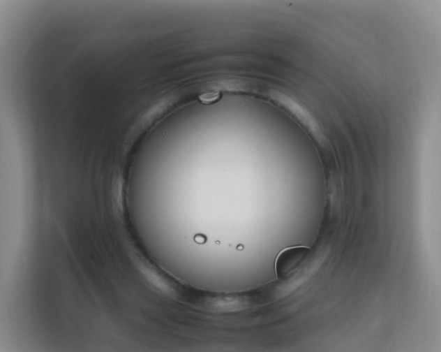 X0000111650445200907241135