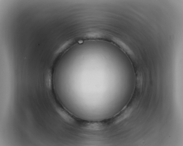 X0000111650446200907241135