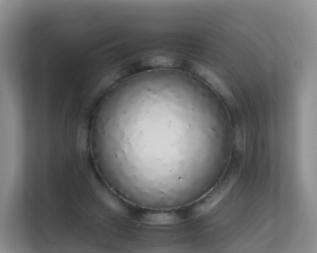 X0000111650449200907241135