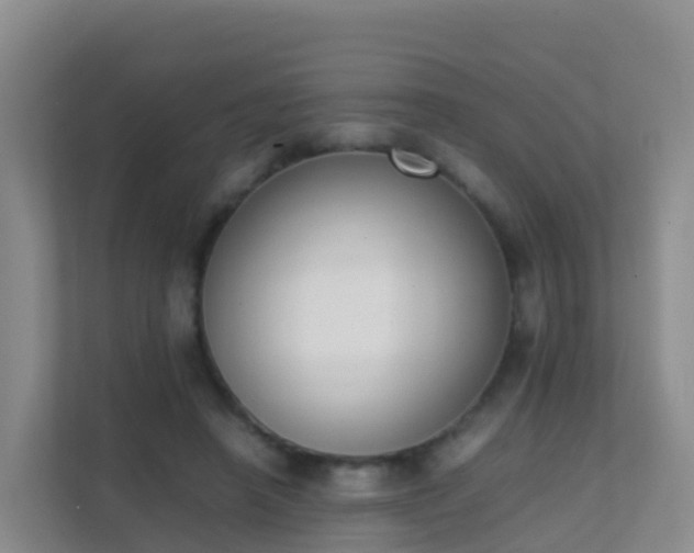 X0000111650450200907241135